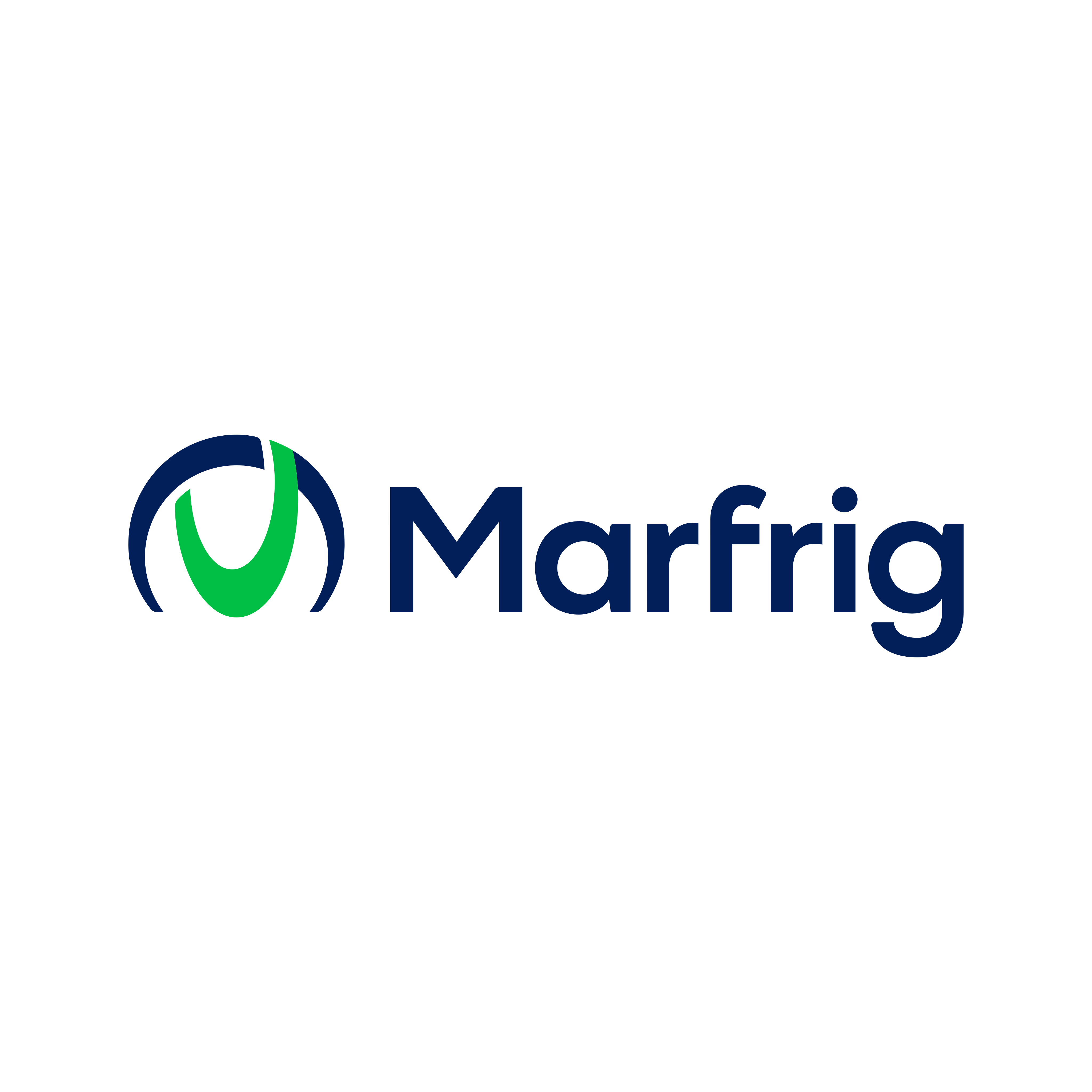 Marfrig_01